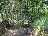 IMG_4865