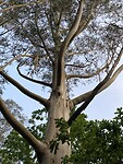 IMG_4891