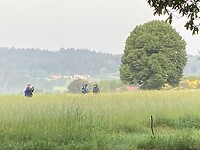 IMG_4892
