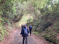 IMG_4894