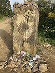 IMG_4896