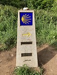IMG_4908