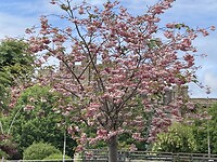 IMG_5072