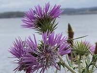 IMG_5111