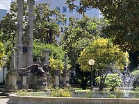 IMG_5155