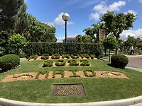 IMG_5157