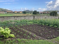 Moestuintjes onderweg