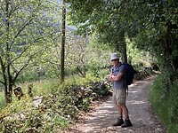 Lopen door een groene kathedraal