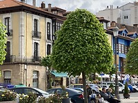 Ribadesella