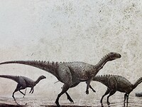 Botten en voetsporen gevonden van dinosauriërs