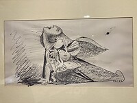 Picasso
