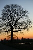 Winters gezicht