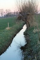 Hollands plaatje