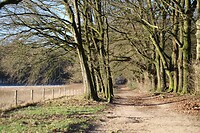 Begin van de wandeling in Dieren