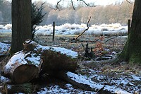 Doorkijkje bij de Carolinahoeve