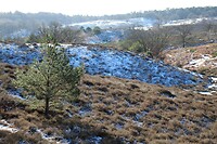Posbank