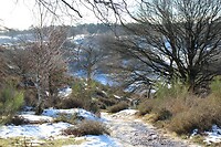 Posbank