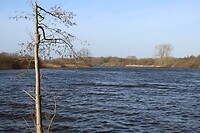 Windkracht 6 op het Wijchens Ven