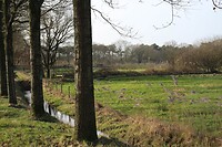 En daar stappen we weer door het buitengebied nabij Wijchen