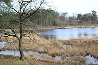 Prachtig gebied