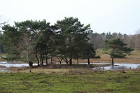 De Overasseltse en Hatertse Vennen
