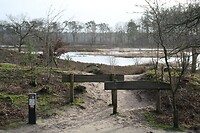 Vennen