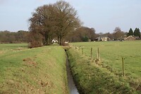 De Kievitshofdijk of de Nijedijk