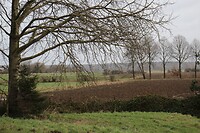 Rond Heumen