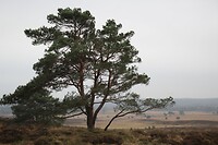 Mooi plaatje