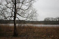 Uddelermeer