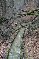 De meanderende Eerbeek