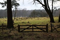 Doorkijkje