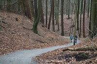 Stijgen en dalen rond de Carolinaberg