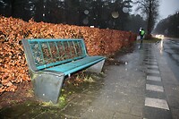 Een regen!