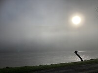 Mist over de Moezel