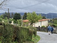 Naron