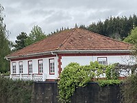 Neda