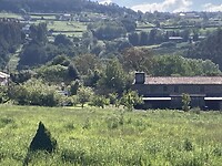 Galicisch groen landschap