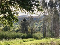 Sfeervol plaatje