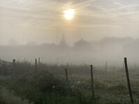 De zon probeert het wel