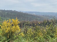 Prachtig landschap