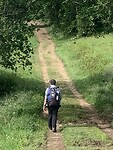 De Camino naar Santiago