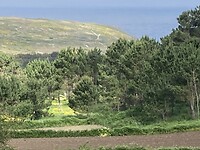 Bekoorlijk landschap