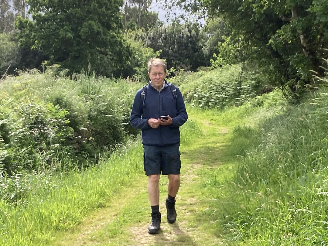 Lopen door het groen