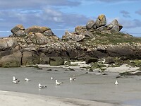 Strand van Muxia