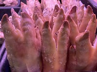 Varkenspootjes