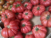 Die tomaten zien er lekker uit