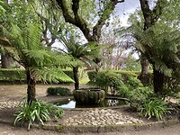 In het park