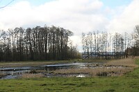 Blauwe Hel