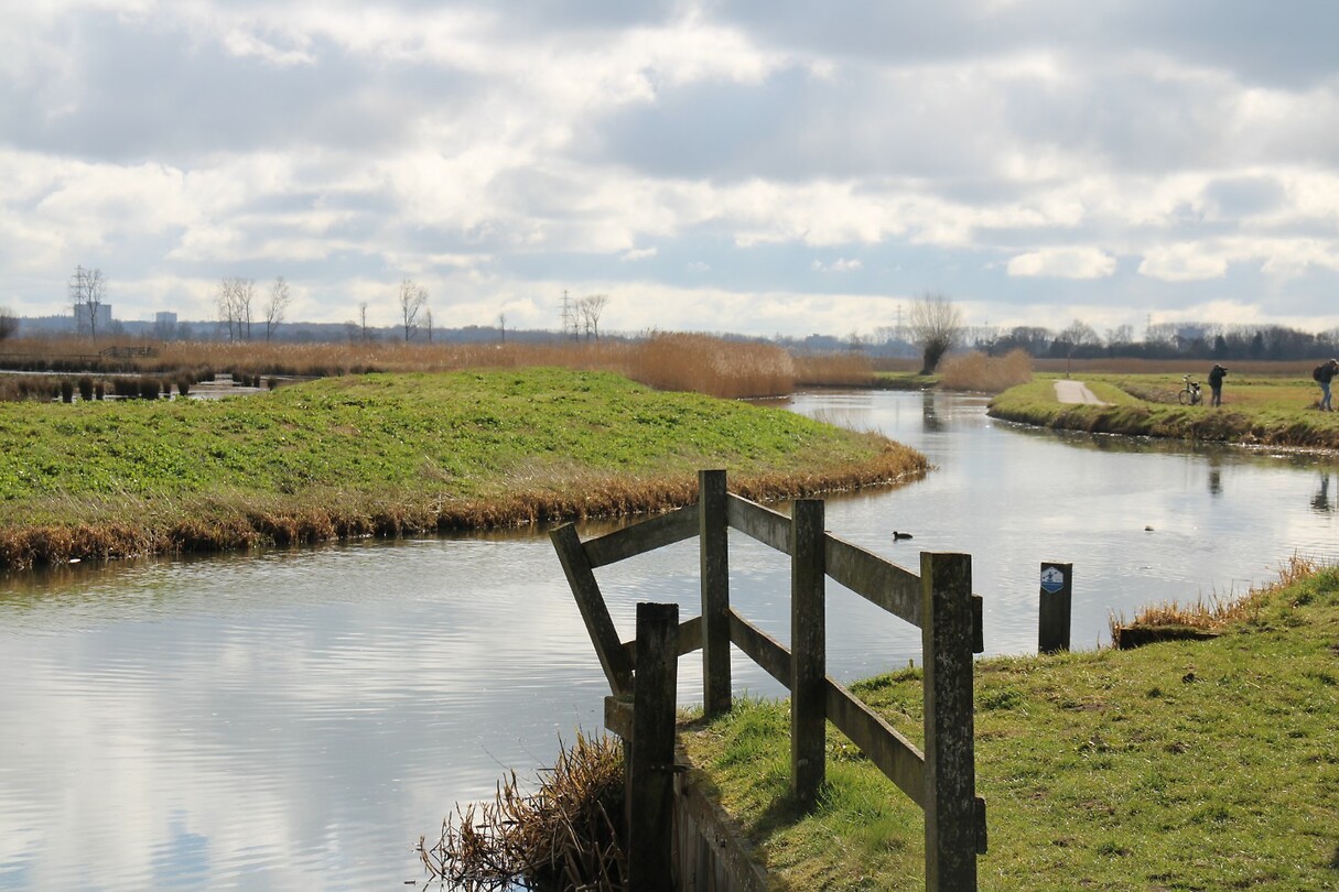 Valleikaneel